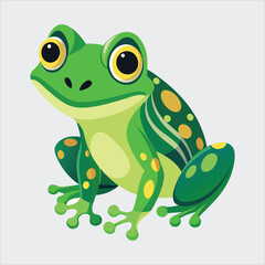 Green Frog vector illustration