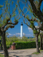 Biarritz lighthouse framed by trees on a sunny day