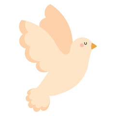 white dove animal