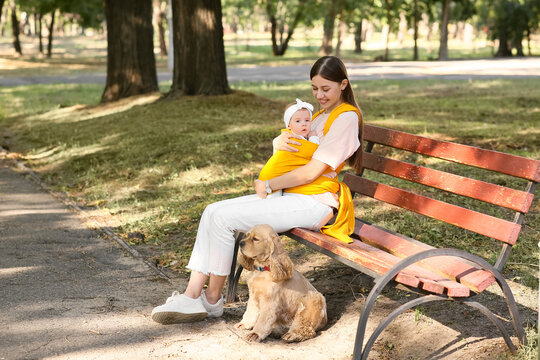 Young happy mother with her baby in sling and cocker spaniel dog sitting on bench at park outdoors - Powered by Adobe