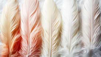 Soft feather textures in calming pastel shades arranged aesthetically on a light background