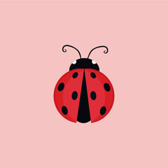 ladybug illustration