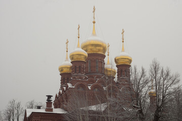 View of the  Cathedral of the Icon of the Mother of God "Chernihiv-Gethsemane" (Chernigovsky Skete)