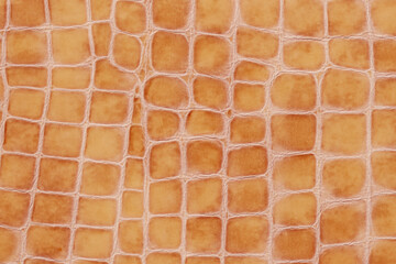 Crocodile skin texture in warm brown tones. Concept of exotic leather