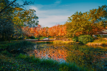 Fagan Park is a large recreational area located in Galston, a semi-rural area in Sydney, New South Wales, Australia. 