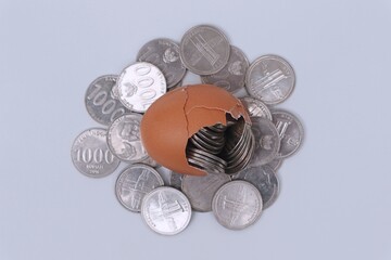 Group of coins inside an egg