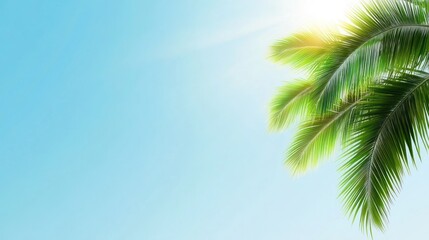 Lush palm leaves against a bright blue sky.