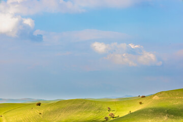 Swiss landscape theme background with green fields and beautiful sky