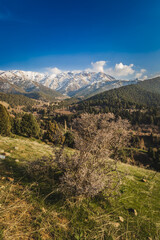 Background beautiful landscape with distant mountains