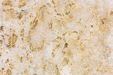 Photo Stone veined pattern useful as a background or texture