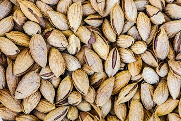 Nut almonds a source of nutrients for vegans