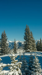 Vail Colorado ski mountain photos with blue sky and scenic spring skiing. 