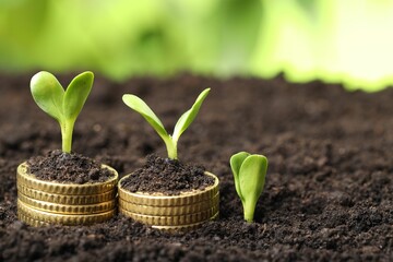 Stacks of coins with green plants on soil against blurred background, closeup and space for text. Money growth concept