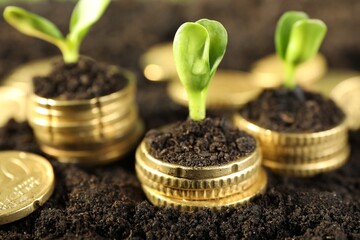 Stacks of coins with green plants on soil, closeup. Money growth concept