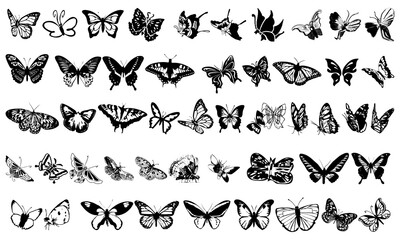 Naklejka premium Butterfly icon collection