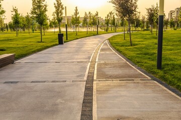 Background landscape with a path in the park in spring or summer with trees and a lawn for a walk