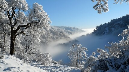 Snowy valley landscape with frost-covered trees and mist.