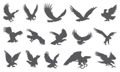 Eagle and bird icon collection
