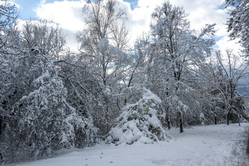 Panorama of South Park in city of Sofia, Bulgaria