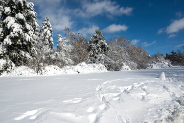 Panorama of South Park in city of Sofia, Bulgaria