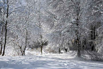 Panorama of South Park in city of Sofia, Bulgaria