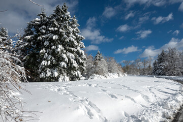 Panorama of South Park in city of Sofia, Bulgaria