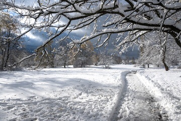 Panorama of South Park in city of Sofia, Bulgaria