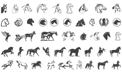 Horse icon collection