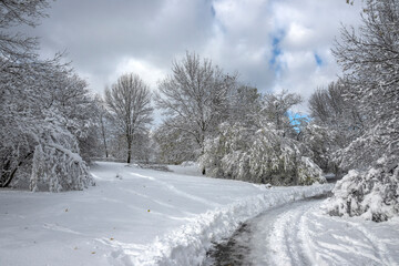 Panorama of South Park in city of Sofia, Bulgaria