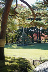 殿ヶ谷戸庭園の紅葉