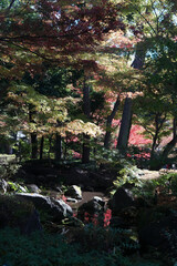 大田黒公園の紅葉