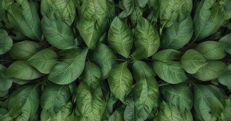 Fototapeta premium Abstract pattern of overlapping macro leaves creating a symmetrical design, greenery, foliage, design