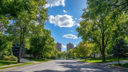 Fototapeta premium Sunny residential street lined with lush green trees and buildings in the distance.