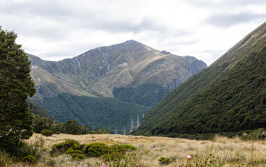 Te anau new zealand stunning landscapes mountains fiords lush green forests trees