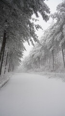 Winter snow scene of Bohyeonsan Mountain in Korea