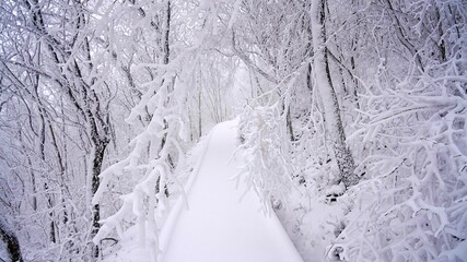 Winter snow scene of Bohyeonsan Mountain in Korea