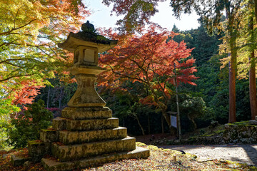 日吉大社の石灯籠