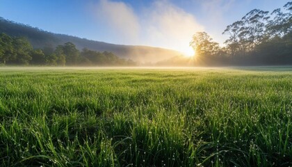 Fototapeta premium Serene sunrise over a misty green field with distant hills.