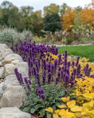 Obraz premium A vibrant garden scene featuring purple flowers and autumn foliage.