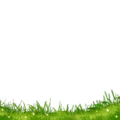 Green grass illustration 