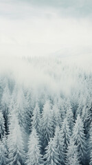 Fototapeta premium snowy spruce forest, landscape photography, snow aesthetics, 