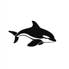 Obraz premium Orca whale silhouette, black and white vector illustration.