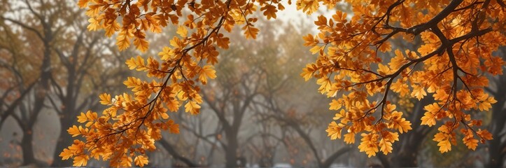 Obraz premium Golden autumn oak branch with scattered acorns and vibrant orange leaves, forest floor, autumn