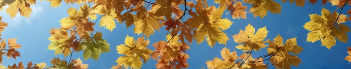 Fototapeta premium Individual Fagus grandifolia maple leaves floating gently in the air against a brilliant blue sky, autumnal scenery, gentle drift
