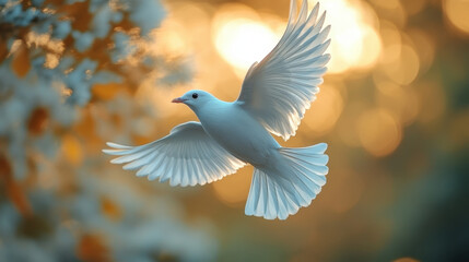 Fototapeta premium white bird gracefully flies through soft, golden lit background, showcasing its elegant wings. serene atmosphere evokes sense of peace and freedom