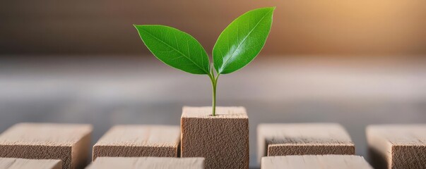 consumer trends concept. A workshop teaching businesses how to adapt their products to align with sustainable consumer trends, consumer trends market sustainability, practical market adaptation