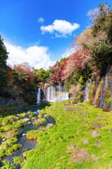 静岡県富士宮市　紅葉の白糸の滝