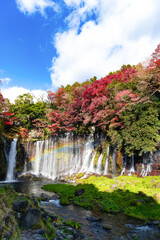 静岡県富士宮市　紅葉の白糸の滝