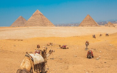 Egyptian Pyramids, Giza, El Cairo, Egypt