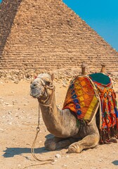 Egyptian Pyramids, Giza, El Cairo, Egypt